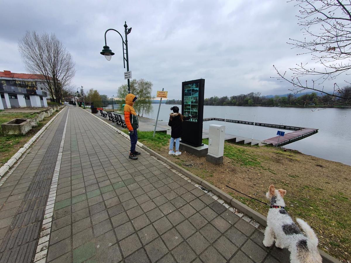 Andjelka A26 Apartman Veliko Gradište Kültér fotó